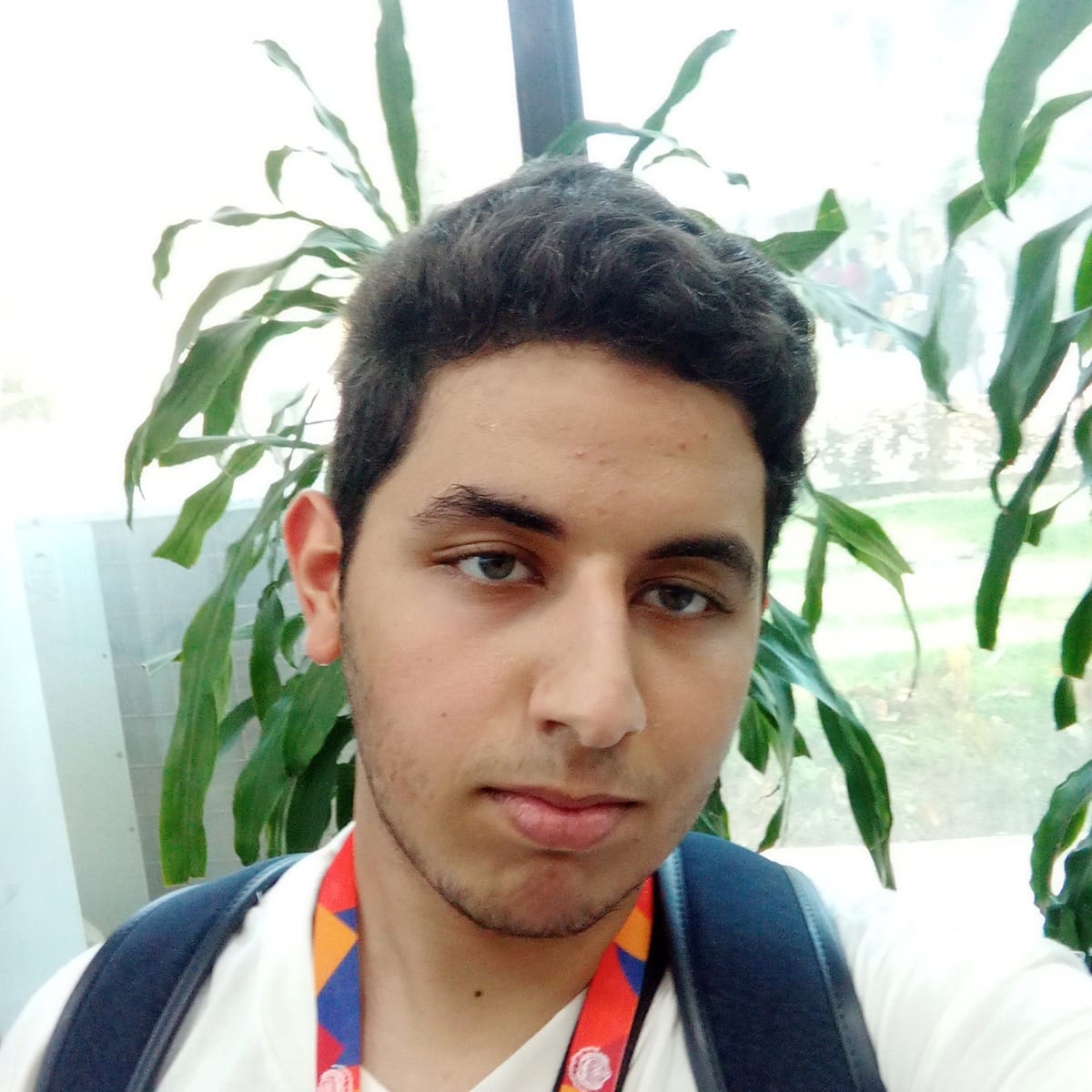 Mousa